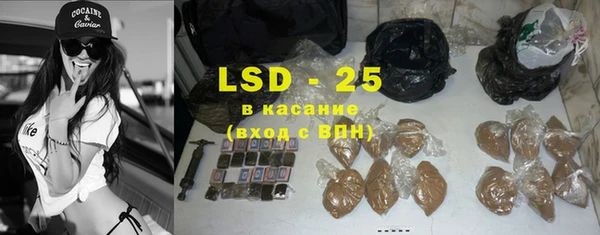 стаф Богданович