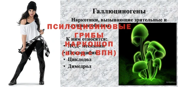 шишки Богородск