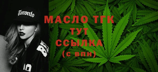 стаф Богданович