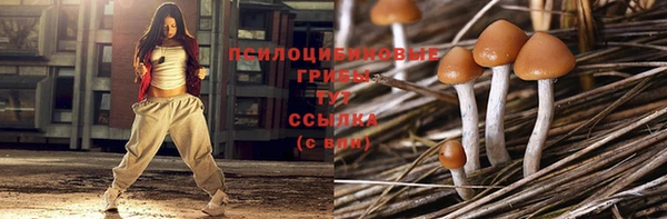 каннабис Богородицк