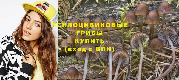 каннабис Богородицк